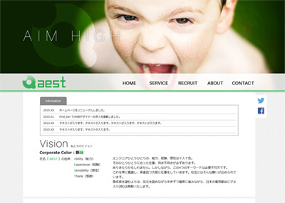 制作実績_アエスト株式会社